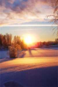 听天由命后,我成了首富在线