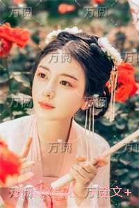 谢尽长安花：人气小说