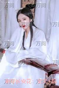 谢尽长安花:小说免费+结局