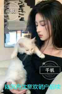 陆沉舟沈意欢销户:结局+番外+完本评价五颗星