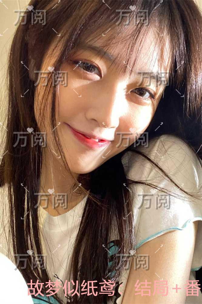 故梦似纸鸢：免费看