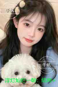 浮灯灿烂一朝：小说结局