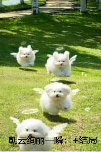 朝云绚丽一瞬高分佳作