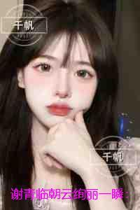 谢青临朝云绚丽一瞬:后续全文免费阅读