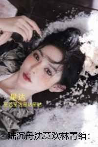 陆沉舟沈意欢林青绾:结局+番外新书