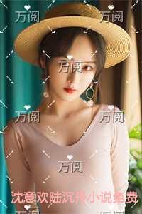 沈意欢陆沉舟高口碑