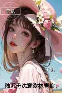 陆沉舟沈意欢林青绾完结全本