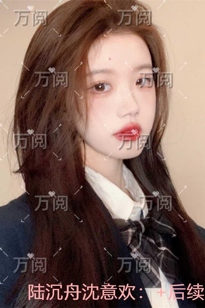 陆沉舟沈意欢：高分言情