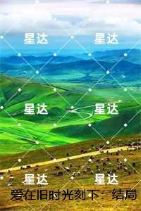 爱在旧时光刻下:,贺瑾舟沈翩然