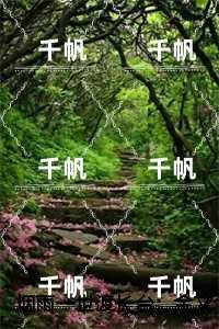 烟雨一世渡长台