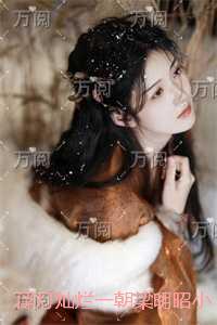 浮灯灿烂一朝梁明昭:畅读