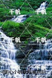 黑心小棉袄网暴我后:,吴峰江凡前言+后续