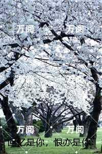 回忆是你,恨亦是你