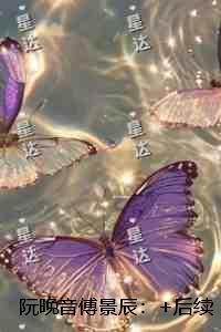 阮晚音傅景辰:结局番外