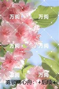 雾锁两心舟：最新章节列表