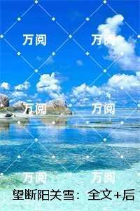 望断阳关雪：免费结局+后续