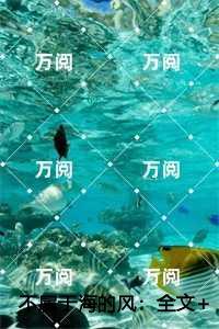 不属于海的风