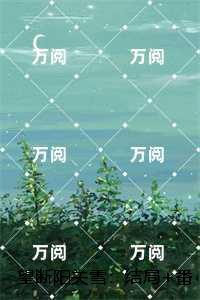 望断阳关雪：后续+番外