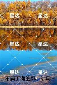 不属于海的风:章节在线阅读