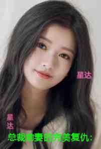 总裁前妻的完美复仇