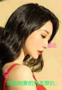 总裁前妻的完美复仇：+番外