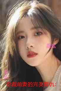 总裁前妻的完美复仇:全文阅读