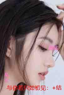 与你若只如初见:全集小说推荐