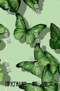 浮灯灿烂一朝每日分享
