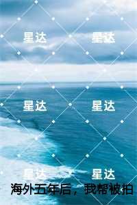 海外五年后，我帮被拍卖小视频的弟弟点天灯，陆向晴