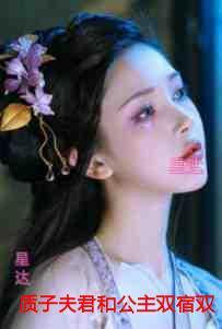 质子夫君和公主双宿双飞，我献出血祭后他悔疯了：版