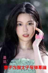 妻子为假太子写弹幕骗我,重生后我杀疯了