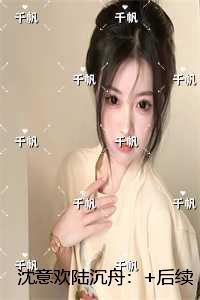 沈意欢陆沉舟：高质量小说