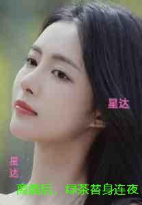 离婚后,绿茶替身连夜删号跑路:结局+番外宝藏