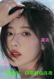 离婚后,绿茶替身连夜删号跑路