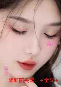 望断阳关雪:结局+番外+后续畅销巨著