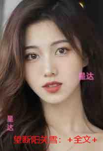 望断阳关雪：后续+全文