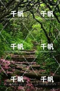 雾岛听椿:,江如安林叙白一口气读完