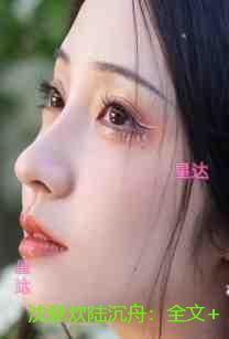 沈意欢陆沉舟:结局+番外创作出彩