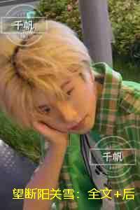 望断阳关雪:完结版免费在线阅读