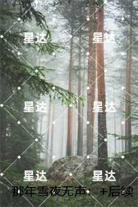 那年雪夜无声:结局+番外宝藏