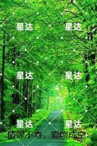 情深不寿,爱终成空:,秦放宋岚在线看