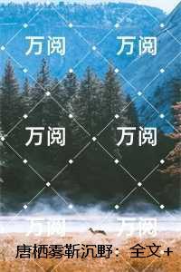 唐栖雾靳沉野：全文免费在线阅读