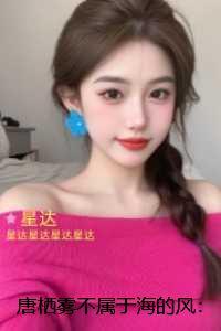 唐栖雾不属于海的风:正版