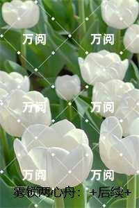 雾锁两心舟：番外+后续