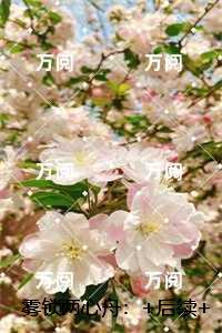 雾锁两心舟：后续全文