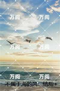 不属于海的风：，唐栖雾靳沉野后续更新+番外