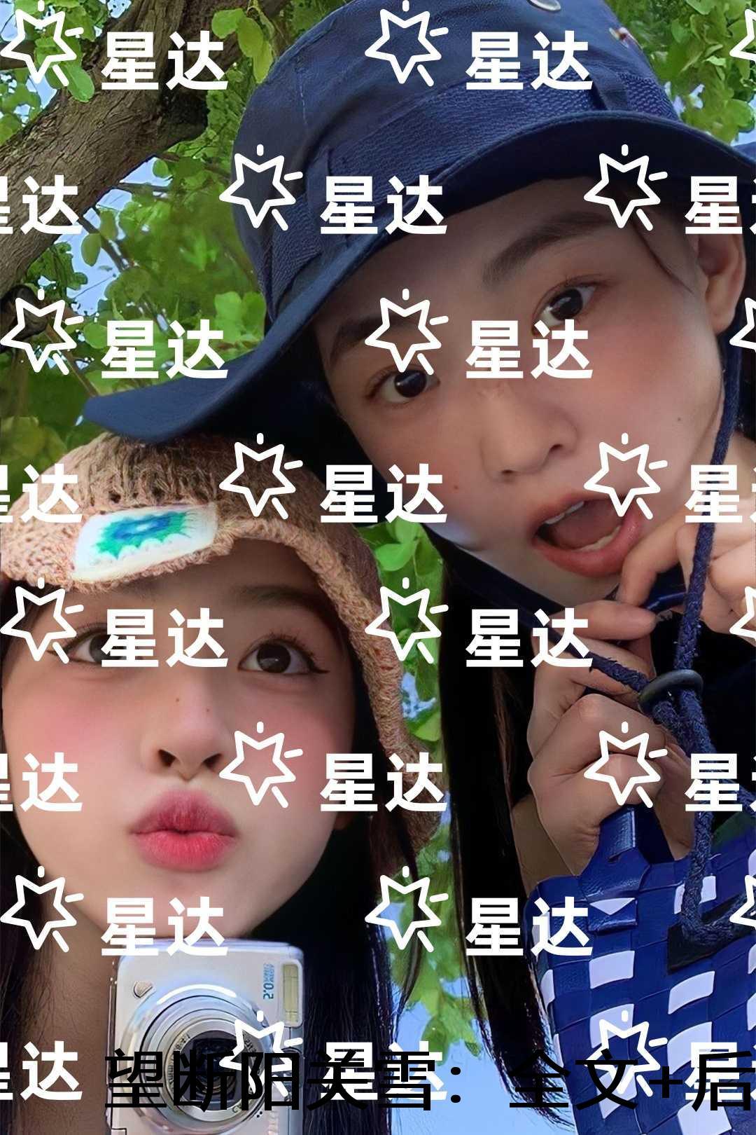 望断阳关雪：小说免费阅读