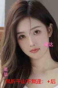 风折千山不复逢：最新章节