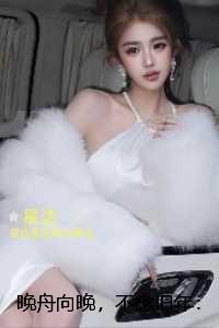 晚舟向晚，不念旧年：后续更新