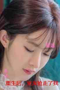 重生后，室友抢走了我的好运猫：+全文+后续